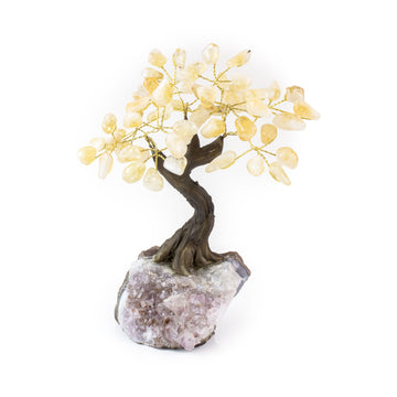 Medium citrine crystal bonsai tree with golden citrine leaves on amethyst base.